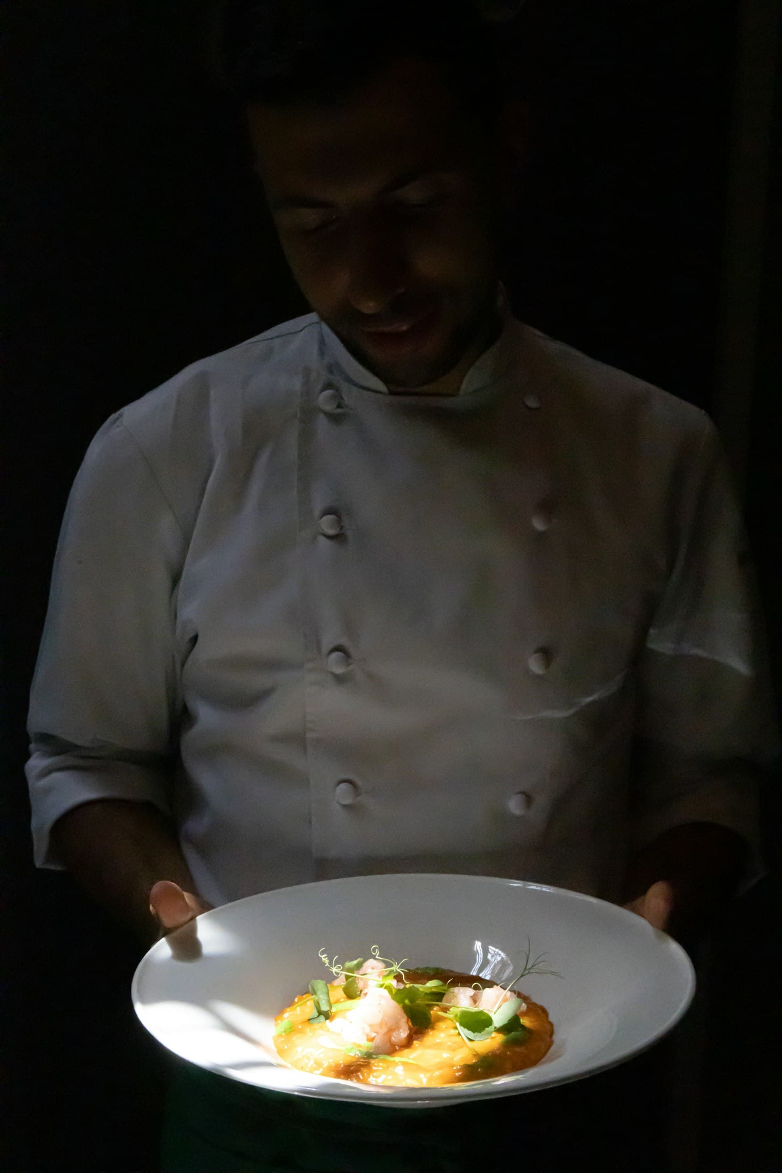 Private chef plating a beautifully presented dish